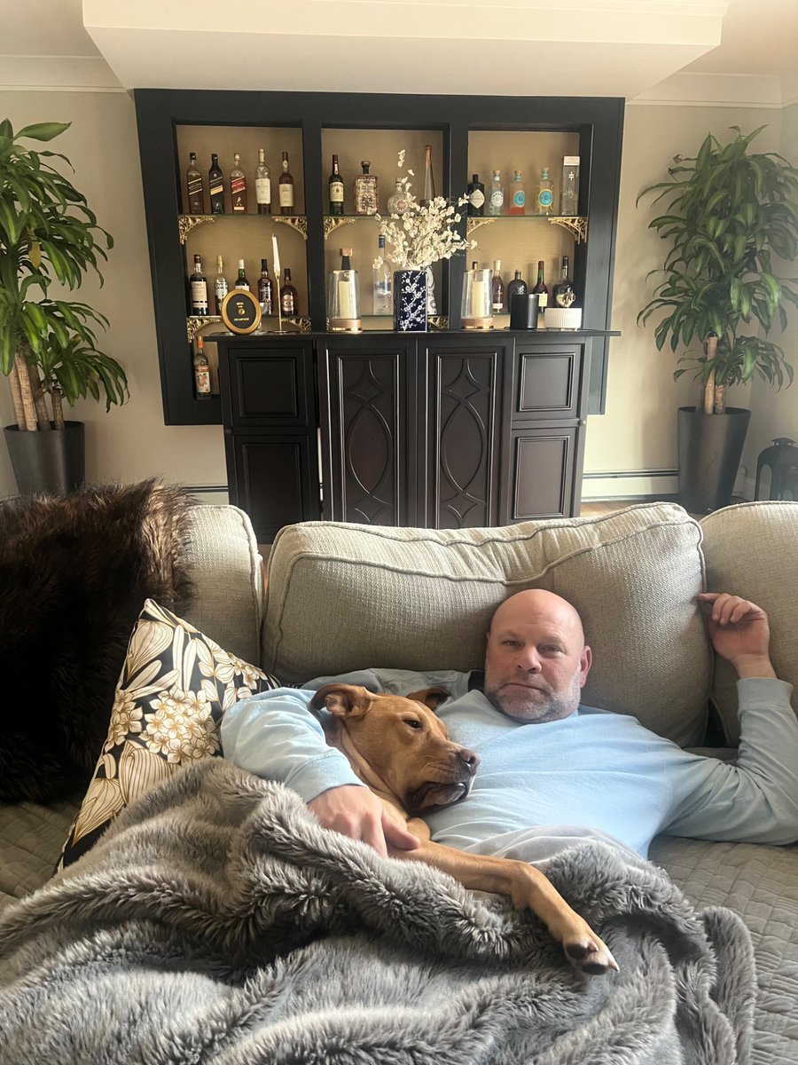 Domenick Lombardozzi tweet media