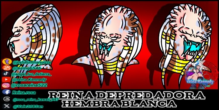 Vale218San's tweet photo. Art by me
(Nfws 🔱🛐🐙)
Reina depredadora hembra blanca 🔱🤍
#Yautjas #alienstagecosplay #SiguemeYTeSigoDeVuelta #Twitter婚活 #instagram #gachasfw #depredator #ComicArt #ibisPaintX #FelizDomingoATodos #Creepy #YouTube
#amor
Sigueme y te sigo ❤️+💬+🔂)
https://t.co/osqTXibBeu https://t.co/1CrwnPBwvv