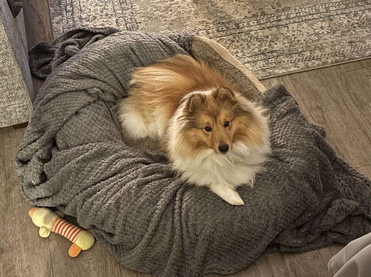 Ross McEwen tweet media