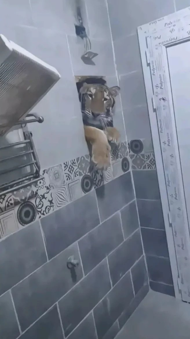 Her erkeğin galerin de olan absürt bir foto vardır