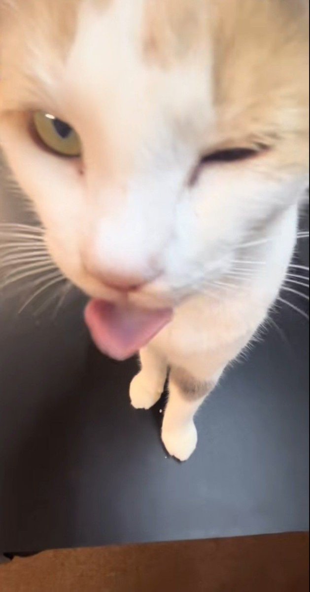 *ੈ‧₊☆˖‧₊˚