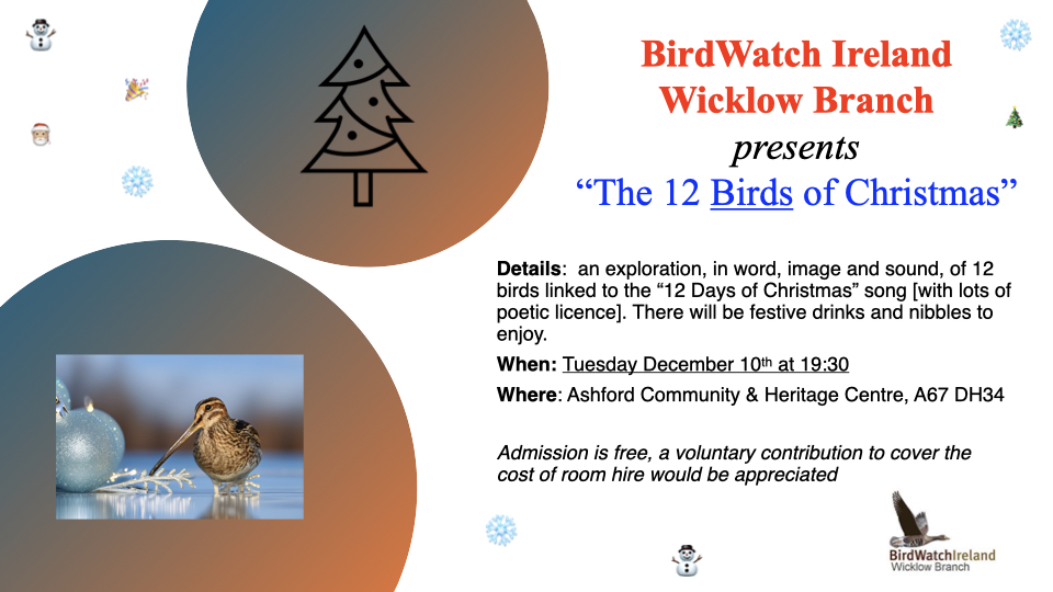 BirdWatch Ireland Wicklow Branch (@wicklowbranch) on Twitter photo 