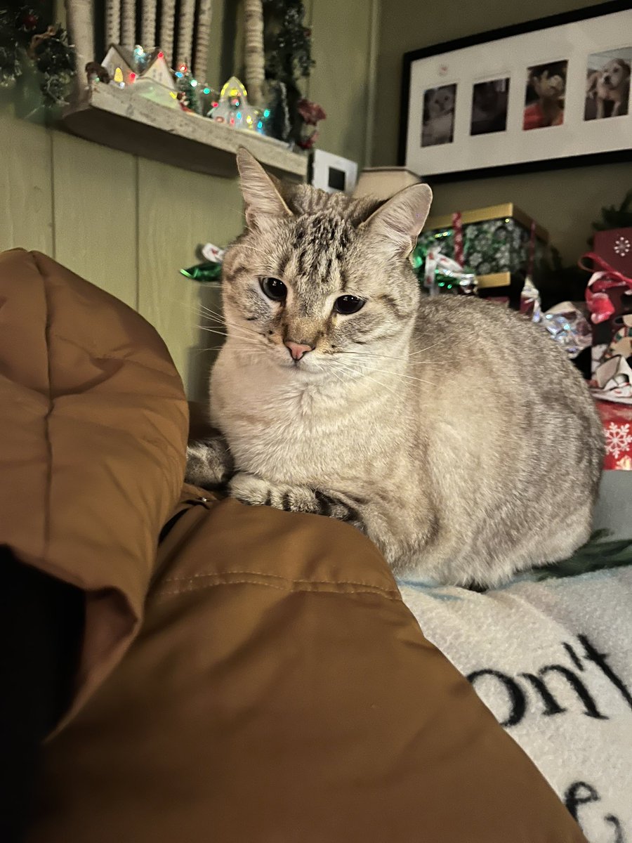 PlLTlE's tweet photo. @toxoplasmosii https://t.co/wASe3fC44w