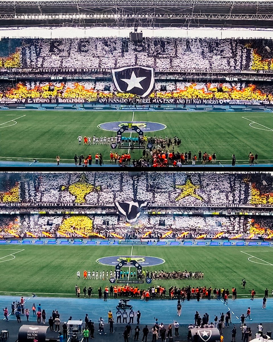 R E S I S T I R 🏆🔥

O último mosaico do Botafogo no Brasileirão.

Linda festa do campeão da Libertadores.