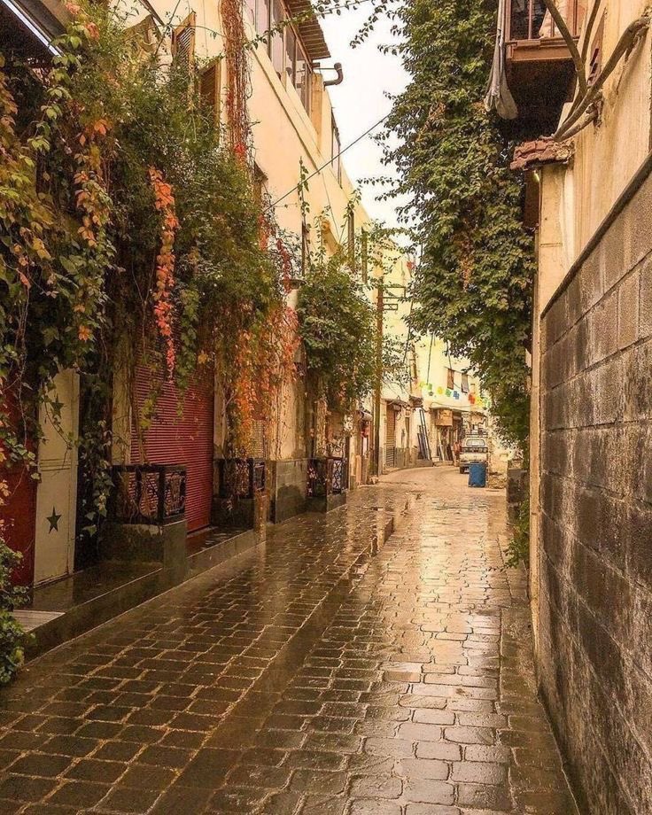 شجاني مِن رُبا الفيحاءِ بَرْقُ 
وهَيَّجَني غَرامُكِ يا دِمَشْقُ..🤍