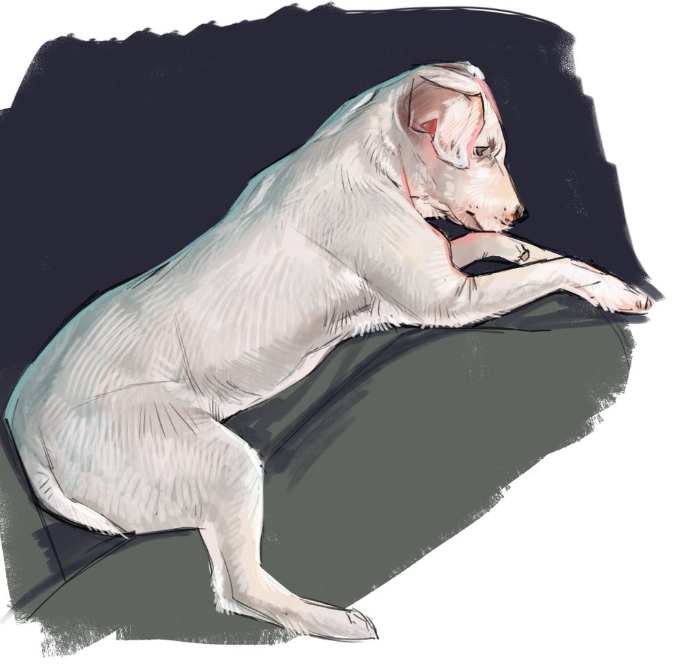 RavenstoneArt's tweet photo. @Gsxr1000UKKO I did a quick sketch of ghost as she is posing so beautifully! https://t.co/6uDwK8xc6r