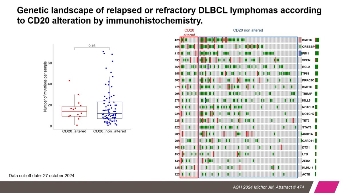 Fer_martinmoro's tweet photo. R/R DLBCL with CD20 and/or CD19 alterations. 

CD20:
- 26% alteration
- Worse OS in R/R DLBCL with altered CD20
- KLHL14 was found more frequently mutated in CD20 altered cases

CD19:
- 39% alteration
- 63% altered in post-CAR-T samples

#ASH24 #lymphoma https://t.co/kQjZSw6blO