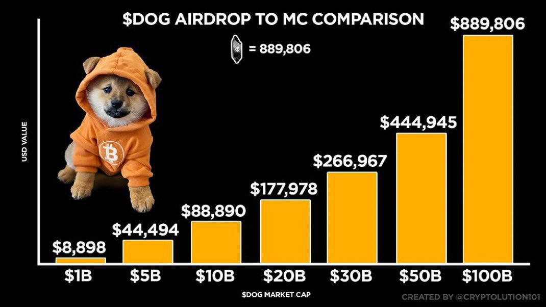 CoinsWeb3's tweet image. Before you list your $DOG consider this