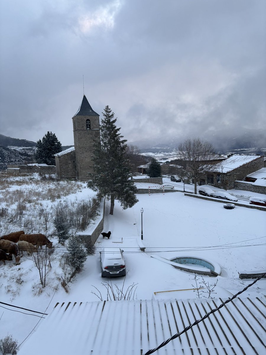 Me quería quedar… pero se ve que no puedo.