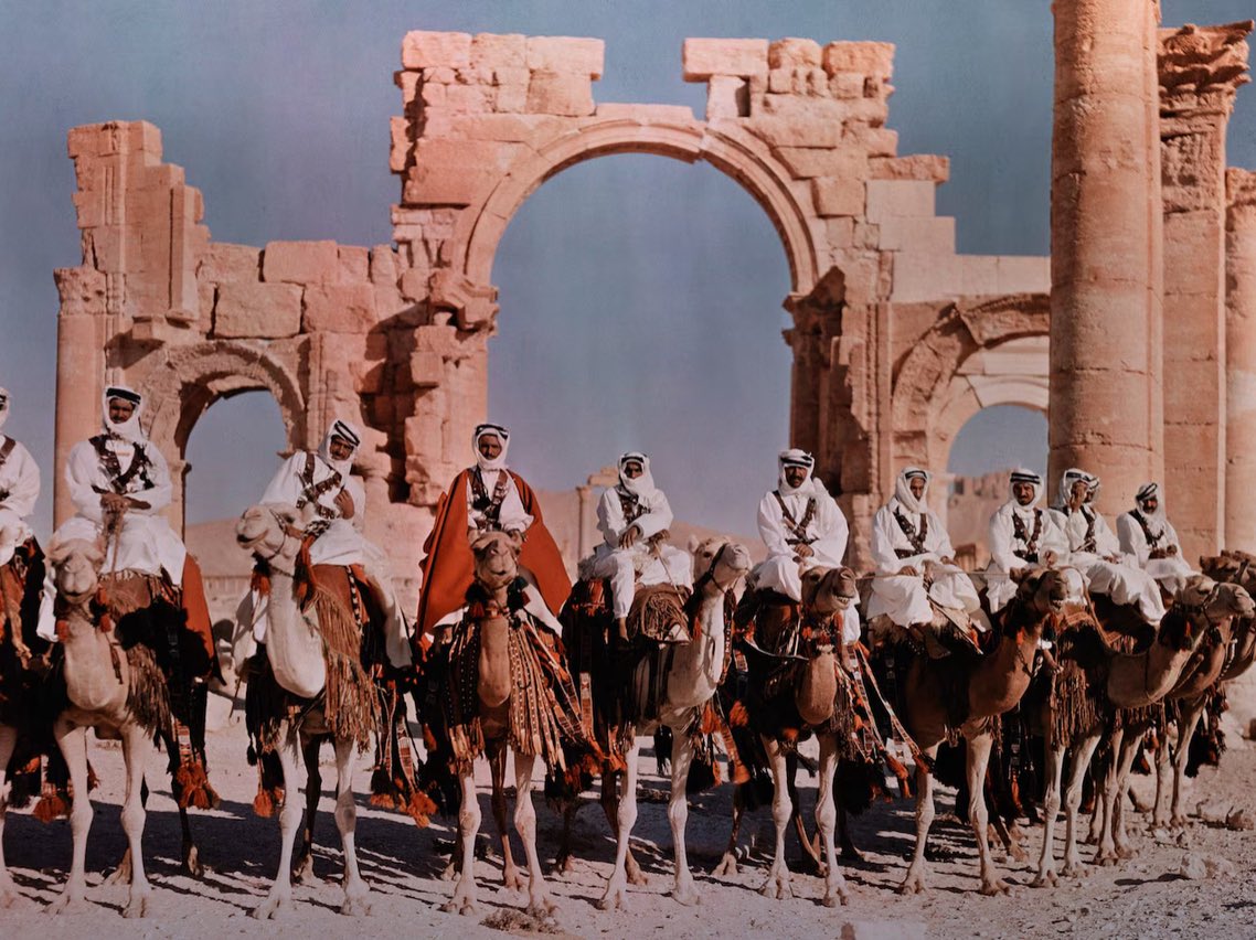EXIT_520's tweet photo. 7. Syrian prepares to ride camels in front of the gateway of Palmyra in the 1930s. https://t.co/rYsdSGaQWv
