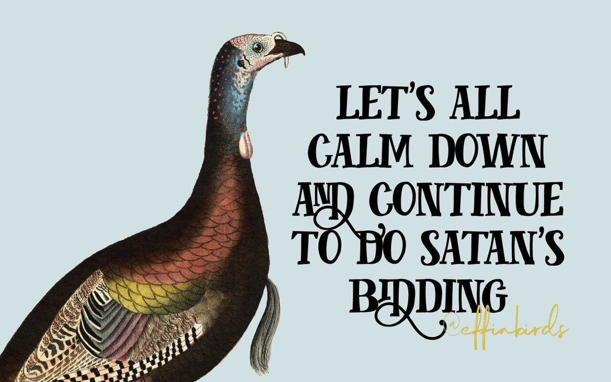 Effin' Birds (@effinbirds) on Twitter photo 