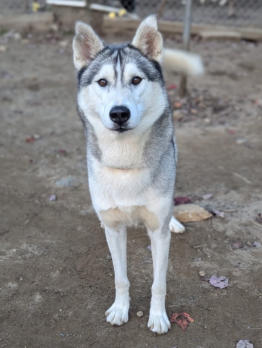 Melissa Mendelson tweet media