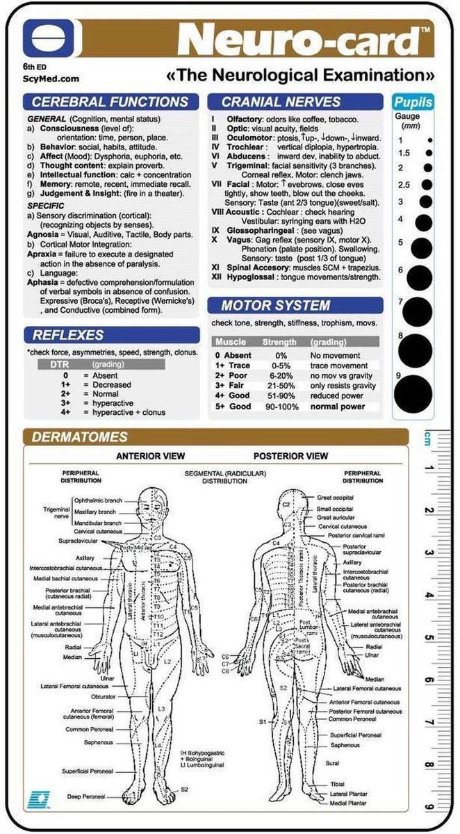 NeuroWalid's tweet photo. Neuro examination card

#neurotip #neuroexamination https://t.co/83JO1XYMOt