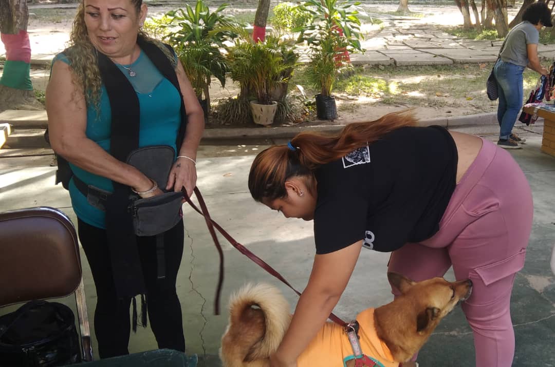 etrejo2017's tweet photo. #8Dic #LosTeques con orientaciones del Gob Elio Serrano a través de SecProtección Animal @maigualidav en coord. con el Sistema de Misiones #Guaicaipuro con @SomosNevado nos acercamos a los Nuevos Teques y se atendieron *08* 🐶😸 con atención Gratuita para animales sanos @farith15 https://t.co/7sdy8GtiZr