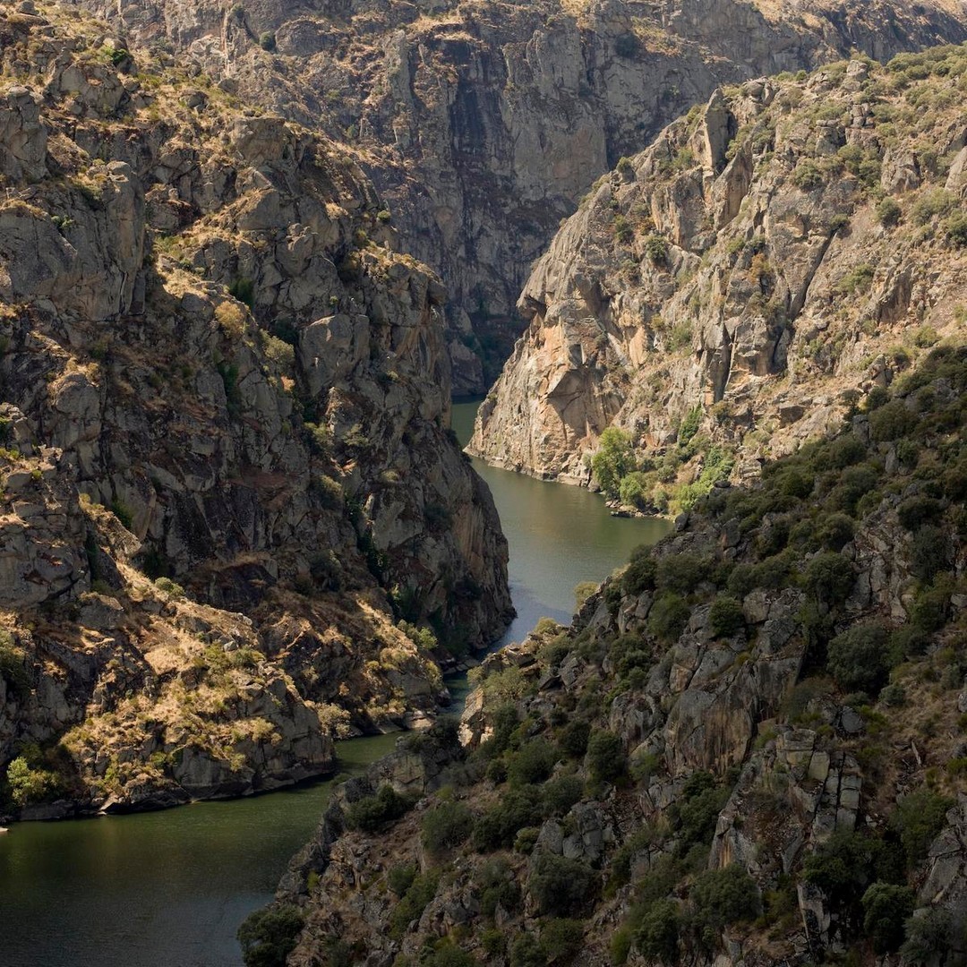 Despedimos el puente con la grandiosidad del paisaje de los Arribes del Duero en la provincia de Zamora 😍

#zamoraenamora #turismozamora #descubrezamora #turismorural #naturaleza #patrimonio #dejatellevar