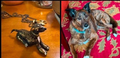 Archbrarian's tweet photo. @DesignResource_ I interview creatives on my 2nd podcast too - I do miniature sculptures of people’s dogs - I’m an illustrator, poet, writer …definitely multimedia ♥️: https://t.co/UokAFoqI82