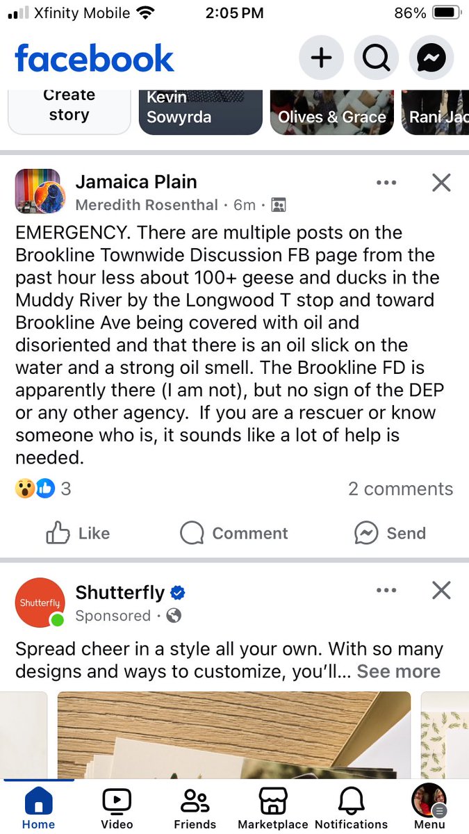 vannessforMA's tweet photo. @OurMuddy you are probably already aware but in case you aren’t — there’s some kind of oil spill affecting wildlife on the river. https://t.co/95HcSiC2eh