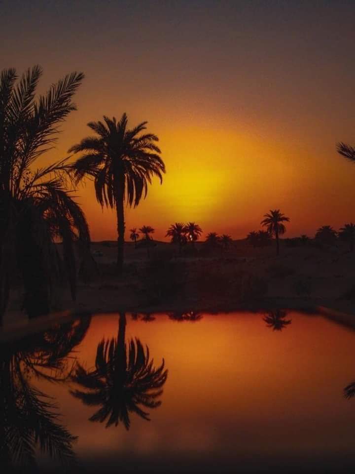 minochere's tweet photo. #Ouargla #ngoussa village #Elbour le désert #Algerien.. , plus surprenant que jamais après la pluie tombée en septembre ...
Contemplation, fascination ...
Le désert toujours nous apprend.
Belle soirée tous. https://t.co/NoUew8ohg7
