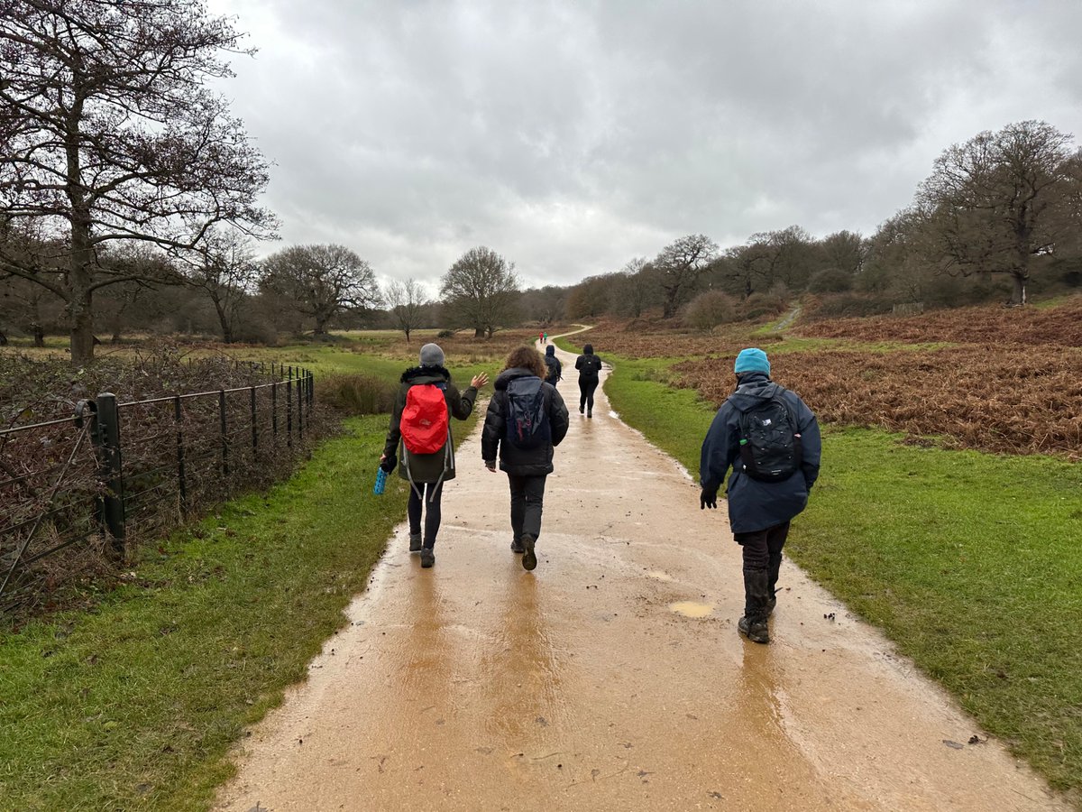 Metropolitan Walkers👣 tweet media