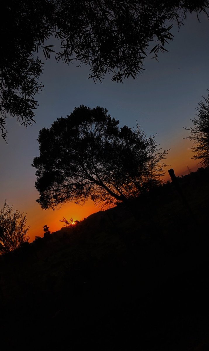 flipsy254's tweet photo. Home
#sunsetclub #sunset #EveningGlow https://t.co/BvaElN3rKO