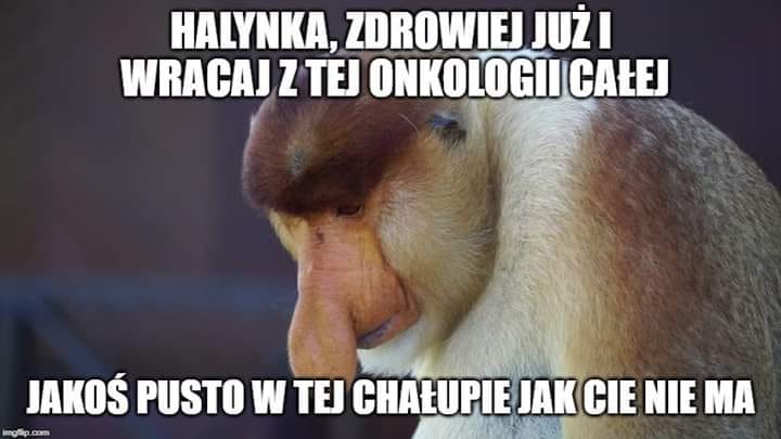 Andrzej Śledź tweet media