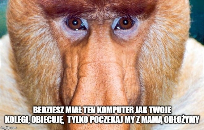 Andrzej Śledź tweet media