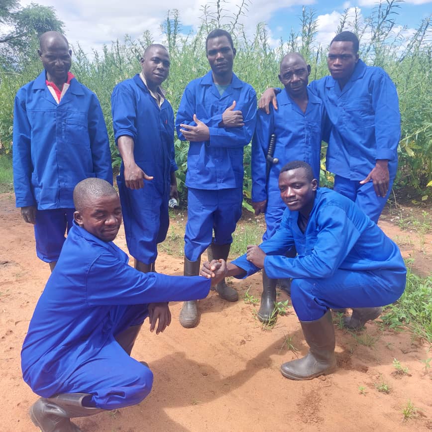 MizuMtengo's tweet image. 🌾 Excited to partner with Nakula Na Mahala General Dealers! Through our #AgroSolutions division, we're boosting their business management &amp;amp; sustainable farming practices. Together, we’re growing a resilient future for agriculture in Malawi! 🚜🌱 #MtengoWaMizu #Agripreneurship