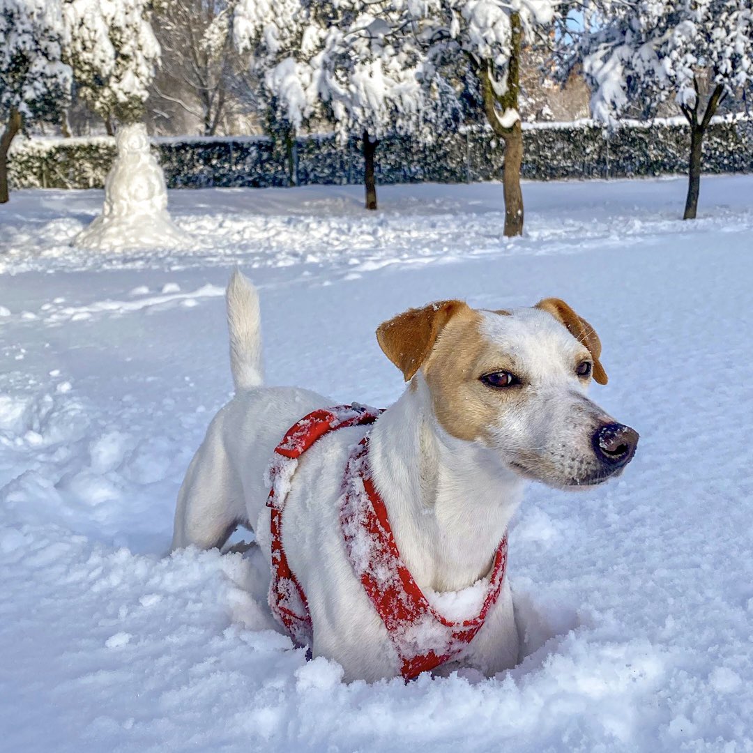 Pipper on tour tweet media