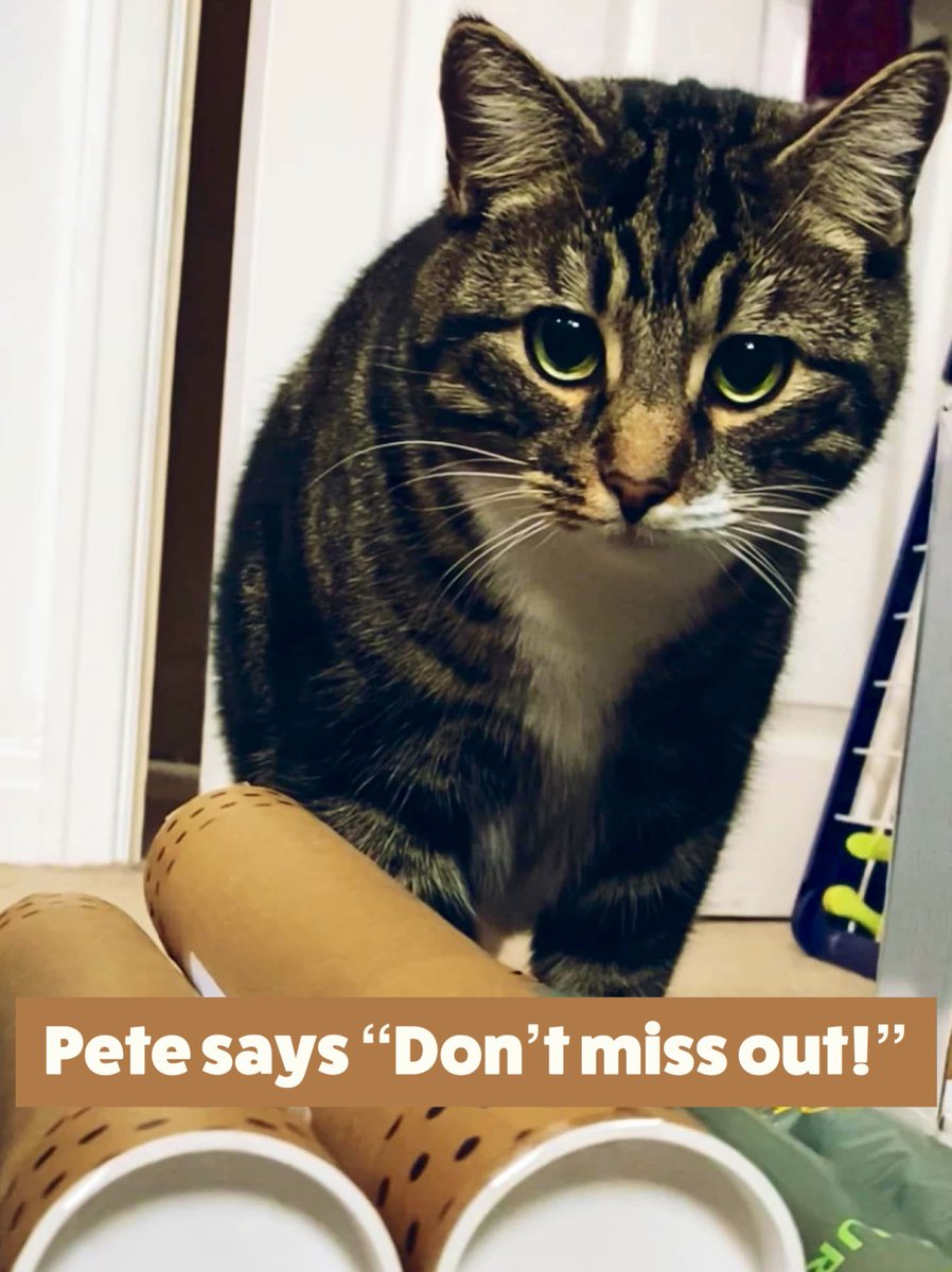 Gail Myerscough tweet media