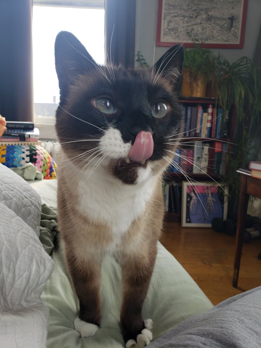 eeeeow's tweet photo. I just think he's the cutest person ever https://t.co/ebwh0QaWZP