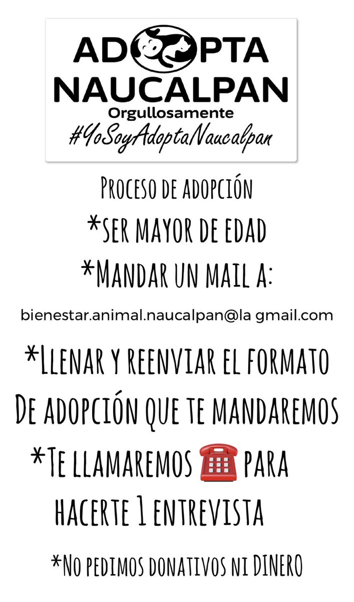 AdoptameNaucal1's tweet photo. COPO está en condición de calle comparte su video y ayúdalo a cambiar su vida, nosotras vemos como apadrinamos RT RT! 
@FansDeMiyagi @azelarobinson @egomezislas @MarkoEscalanteN @SoyNaucalpan @gabrielguerrac @AnayanssiMoreno @MarcelaRubiales @inakimanero @ReneValerio_ @jav_riv https://t.co/D0tn8bFudd