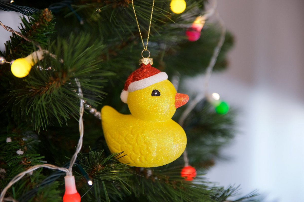 letsgobmonsters's tweet photo. fucking hell, i swear, if i see one more duck ornament make an unexpected appearance on our christmas tree i'm going to LOSE IT. look at this bullshit https://t.co/3I2HDJbzW1