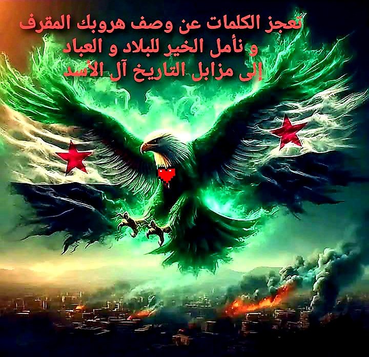 AMoushallah's tweet photo. 8 / 12 / 2024 https://t.co/WRsakA7Pot