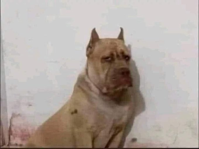 Watch Joka $7 OF NO PPV🥰's leaked NSFW photo on TwXstars