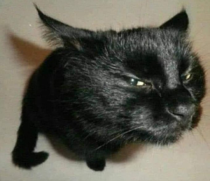 Watch Joka $7 OF NO PPV🥰's leaked NSFW photo on TwXstars