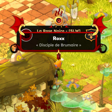 fff_roxx's tweet photo. Ouai  pas mal ankama https://t.co/k8phjGmIkF