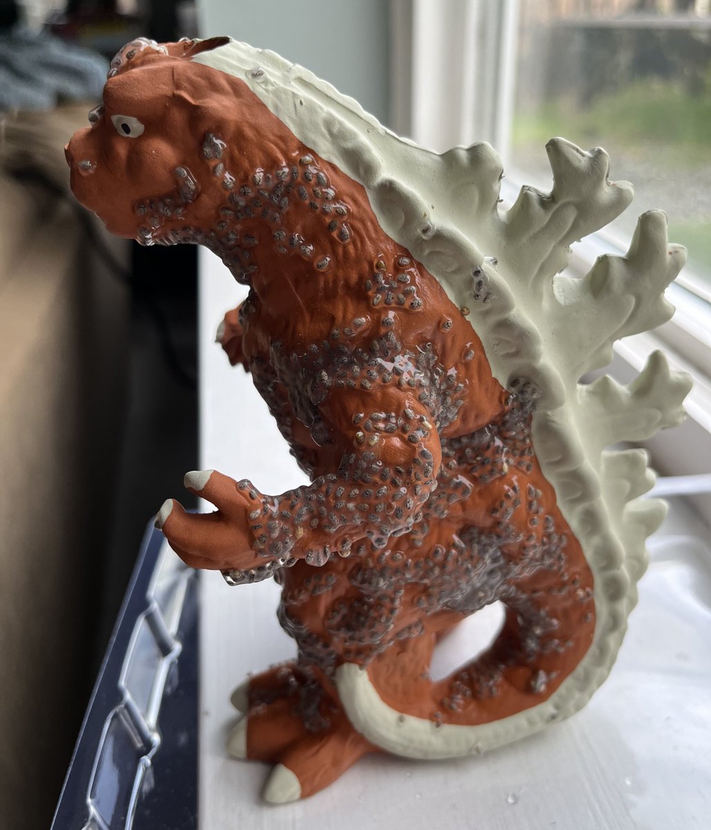 chapster19's tweet image. Bought the Godzilla Chia Pet to start a new Xmas tradition with my kids…

This is my daughters (and me) first attempt at it! Let’s see how she goes… have a good day people!!!

#Godzilla #ChiaPet #GodzillaChiaPet