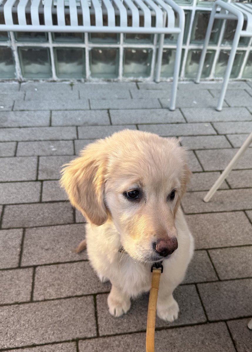 Coffee run just got more expensive