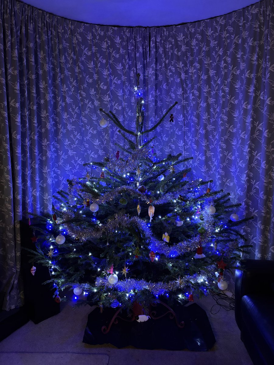 NaturistHiking's tweet photo. Following multiple restarts, arguing children and a load of stress, Christmas 2024 has been installed! #stupidhead. https://t.co/YU8xr2FxVQ