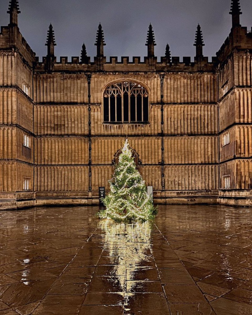 bodleianlibs's tweet photo. At least all this rain means more twinkling lights! Here's the Christmas Tree reflected on the paving stones in the Old Quad. https://t.co/hUT2JN7NiU