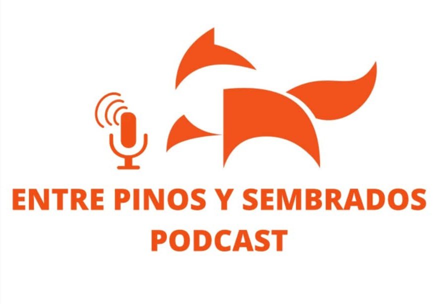 Si este post llega a los 100 likes prometo retomar el podcast.

De vosotros depende 😜

 go.ivoox.com/sq/1398984
