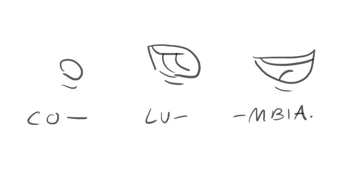 diego olivo! my favorite columbian tour guide!