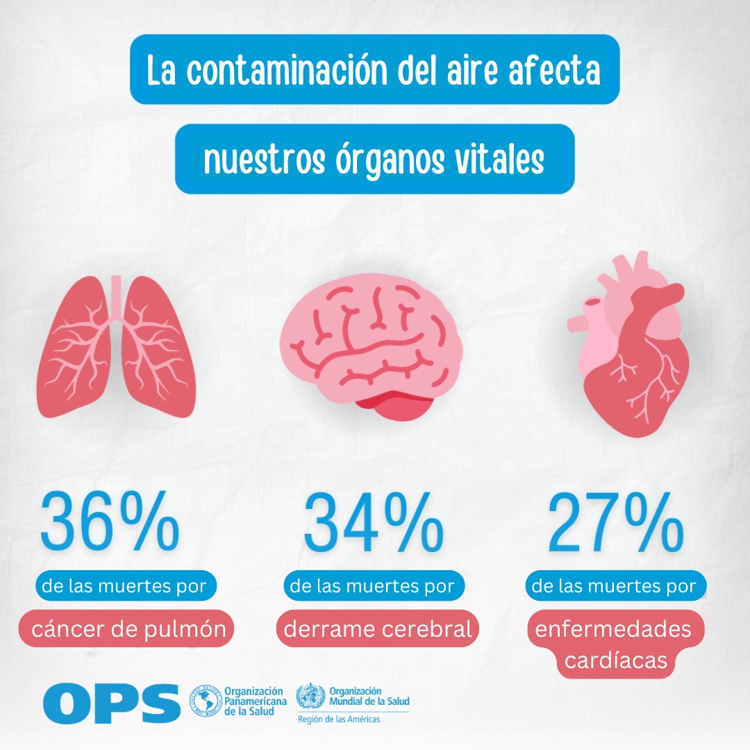 opsoms's tweet photo. La #ContaminacióndelAire en forma de partículas finas o PM2.5, puede provocar:
 
🔸 derrame cerebral
🔸 diabetes
🔸 enfermedades del corazón
🔸 cáncer de pulmón
🔸 enfermedades respiratorias
 
También afecta la salud pre y neonatal. https://t.co/yjKgDQTztH
