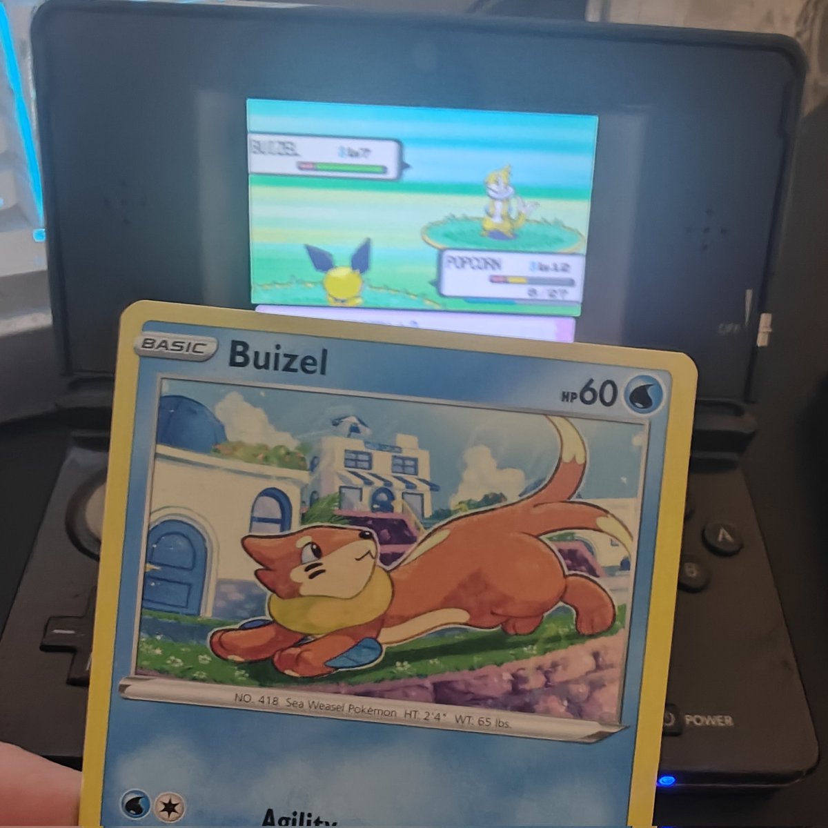 m_slowpoke's tweet photo. finally phase 1 for pachirisu is a buizel after 10146. next time will be underodds trust 😁✌️ https://t.co/gajwfWJWiT