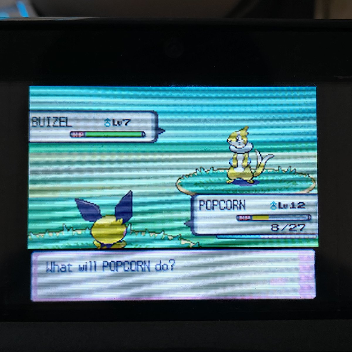 m_slowpoke's tweet photo. finally phase 1 for pachirisu is a buizel after 10146. next time will be underodds trust 😁✌️ https://t.co/gajwfWJWiT