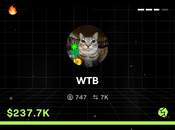 cat from blum bot | WTB tweet media