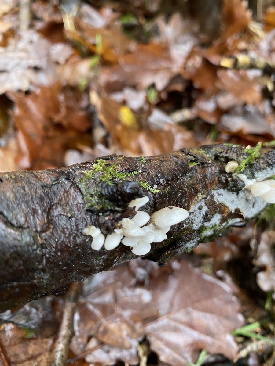 Kieran Jones tweet media