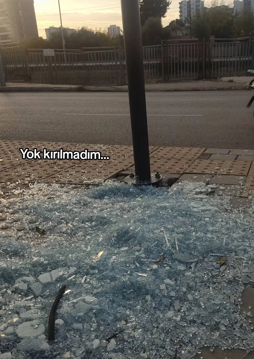 Alya (@alyareckles) on Twitter photo 