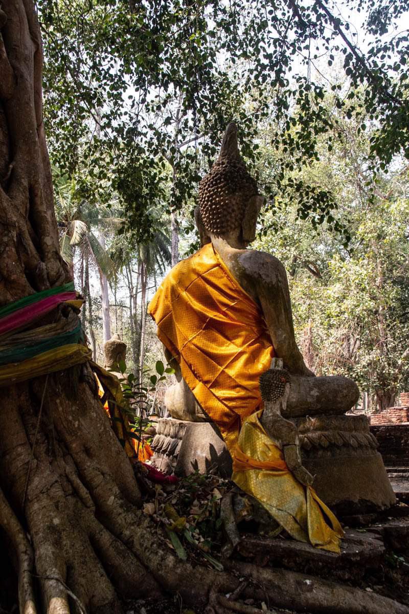 Buddha Project tweet media