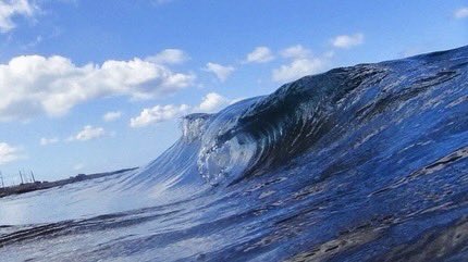 FansofSaltwater's tweet photo. https://t.co/YZLbPVZThY